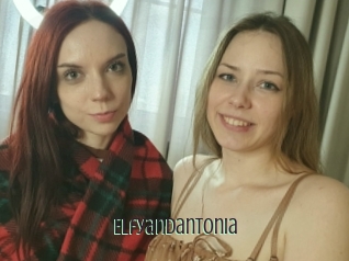 Elfyandantonia