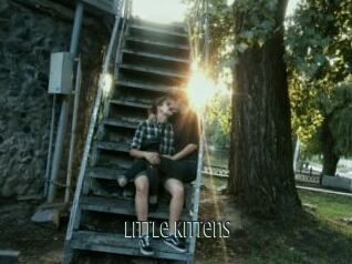 Little_Kittens